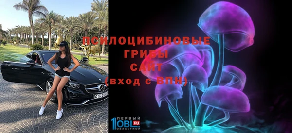 индика Пролетарск