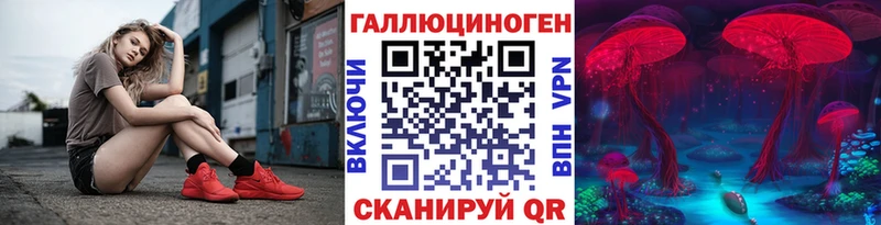 где найти наркотики  Теберда  Галлюциногенные грибы Psilocybine cubensis 